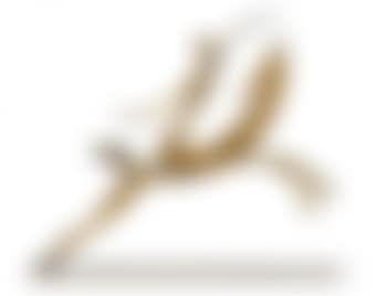 A female nude on horseback (preview)