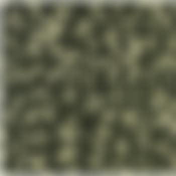 Monogramouflage Treillis (preview)