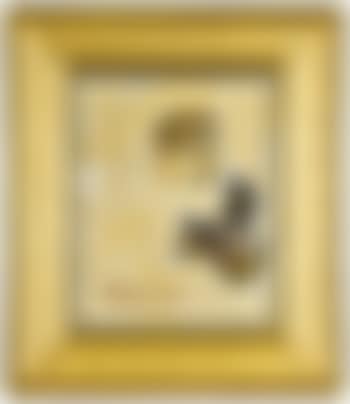 Untitled (preview)