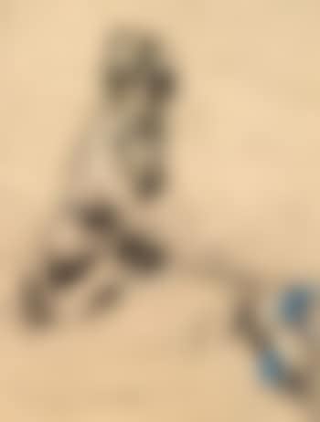 Femme assise (preview)