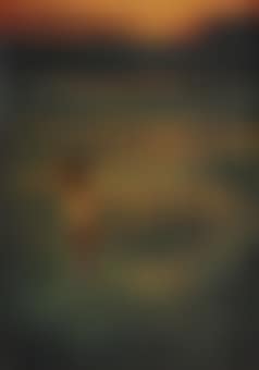 Untitled (Nude in Marsh) (preview)