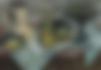 Still Life with Lemons (preview)