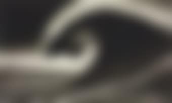 Study for Black Wing (preview)