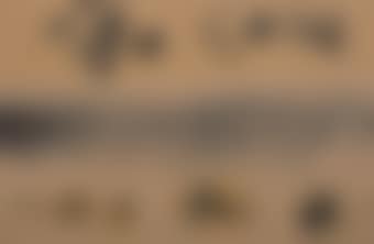 Untitled (preview)