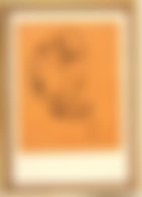 Schneeeule (preview)