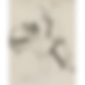 Still Life (preview)