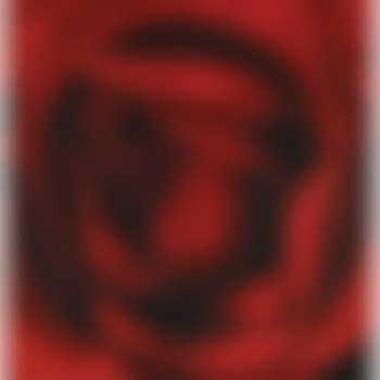 Untitled (November 2) (preview)