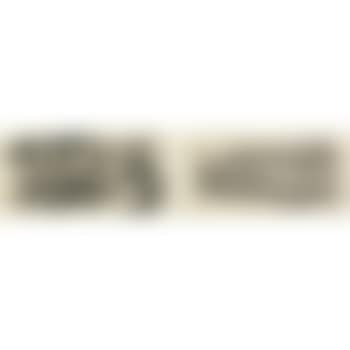 Landscript [Two Works] (preview)