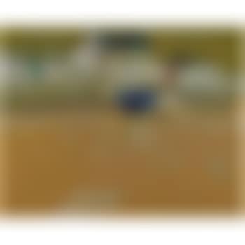 The Shore (preview)