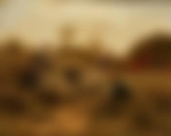 In the field (preview)