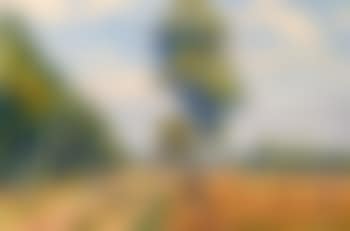 Sommertag im Moor (preview)