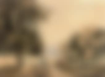 Deer resting by a woodland path (preview)