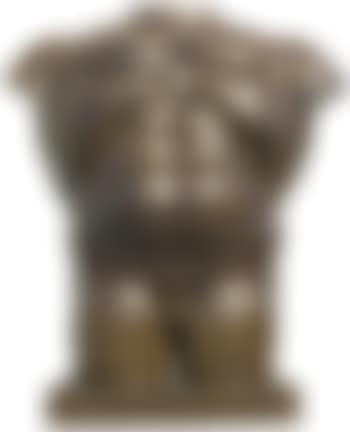 Male Torso (preview)