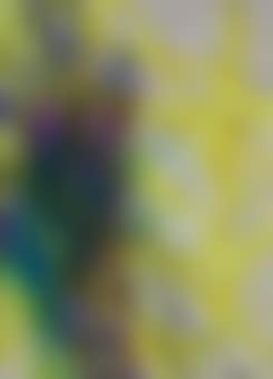 La tache de ... (preview)