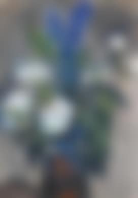 Pfingstrosen und Rittersporn (preview)
