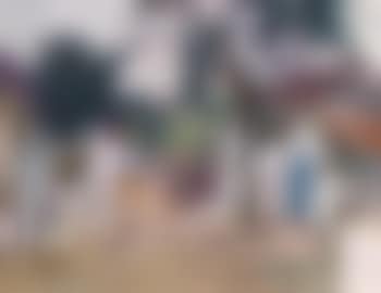 Dorfstraße mit Hund (preview)