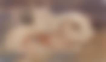 Ziegen (preview)