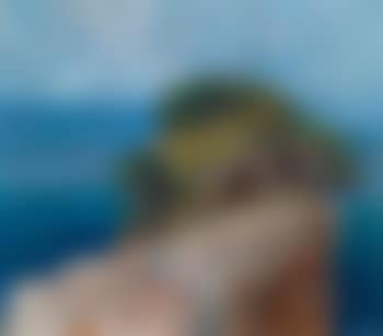 View of Lacroma (preview)