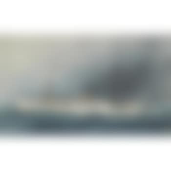The 'Obidense' (preview)