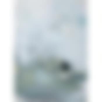 Composition (preview)