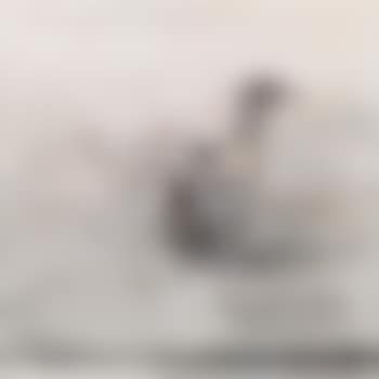 Deux (preview)