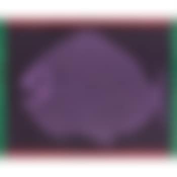 Fish (preview)