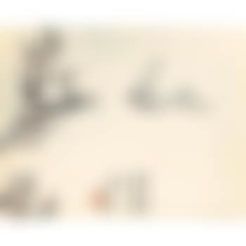 Winter Blossoms (preview)