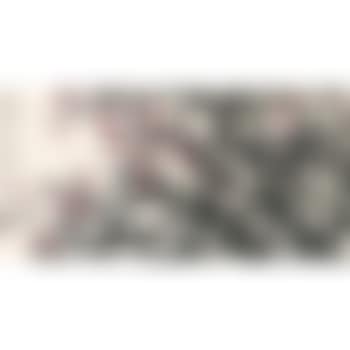 Red And White Plum Blossoms (preview)