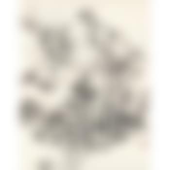 Recluse (preview)