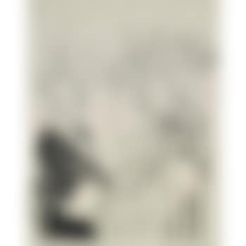Hindenburg Von Noske Begrüsst (preview)