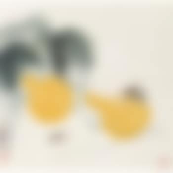 Gourds And Insects (preview)