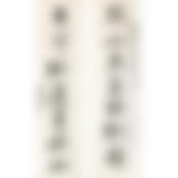Calligraphy Couplet In Xingshu (preview)