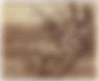Pommier Fleurs (preview)