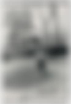 Central Park (Police barricade), from the series, From the Bus, New York (preview)