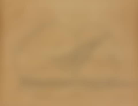 Composition (preview)