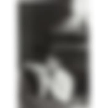 Robert F. Kennedy (preview)