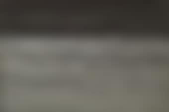 Sea Mist (preview)