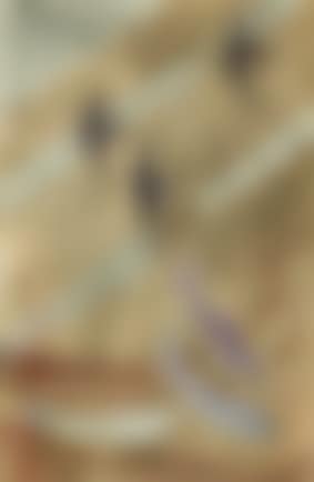Poissons (preview)