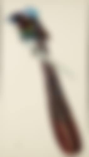 Oiseau exotique (preview)