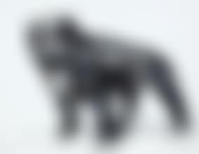 Bulldog (preview)