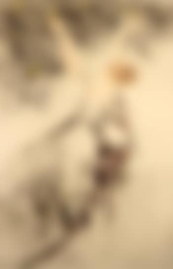 An allegory of summer (preview)