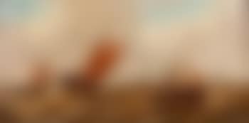 Sailing vessels off a coast (preview)