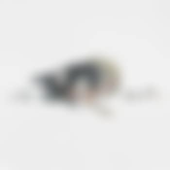 Birth of Land Dance, Izanagi, Izanami (preview)