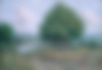 Paysage de la Roche-Guyon (preview)
