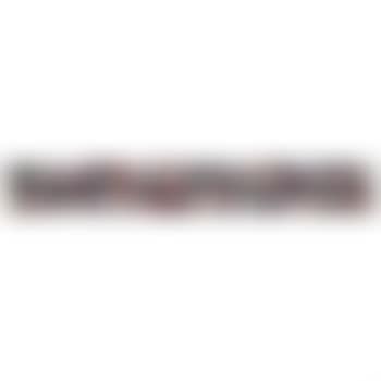 The Nazis (preview)