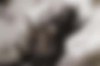 Study for Mysterious Heart (Reversed) (preview)