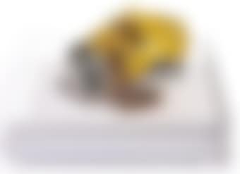 Beer Can Penis (preview)