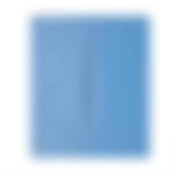 Concetto Spaziale, Attesa (preview)