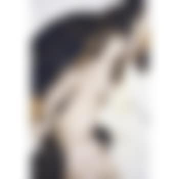 La Fortuna (preview)
