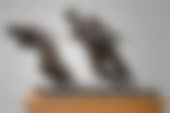 A la rescousse (preview)